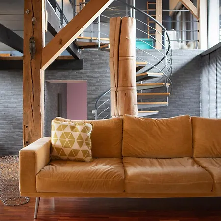 Ancienne Grange Renovee Esprit Loft Villa Dietwiller